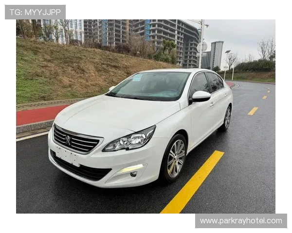 1.8L豪华版性价比高 全新标致408购买指南